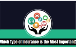 Which Type of Insurance is the Most Important?