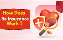 How Does Life Insurance Work?