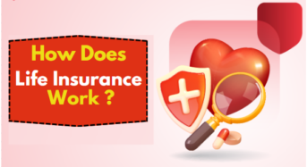 How Does Life Insurance Work?